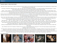 Tablet Screenshot of cmsbase.ru